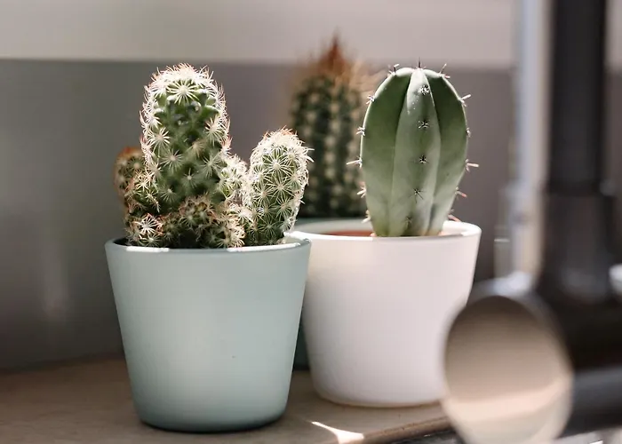 Lejlighed Amalpha Domus 100 Sqm With Ac Wifi And Balcony - 3rd Floor, 50 Steps In The Building